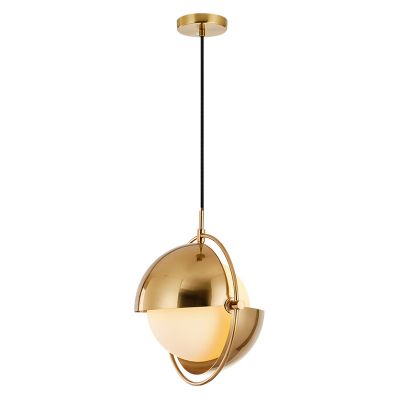 metal,Chandelier Pendant lamp,acrylic PE PP