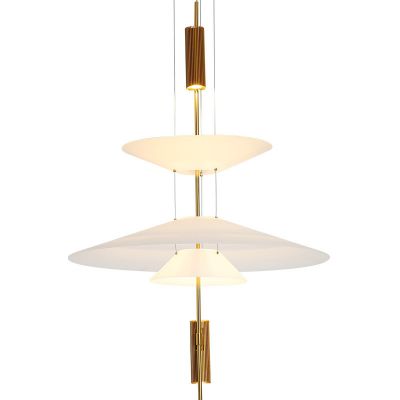Chandelier Pendant lamp,acrylic PE PP,metal