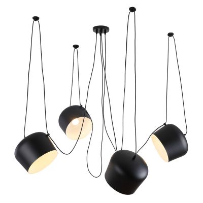 Chandelier Pendant lamp,Metal